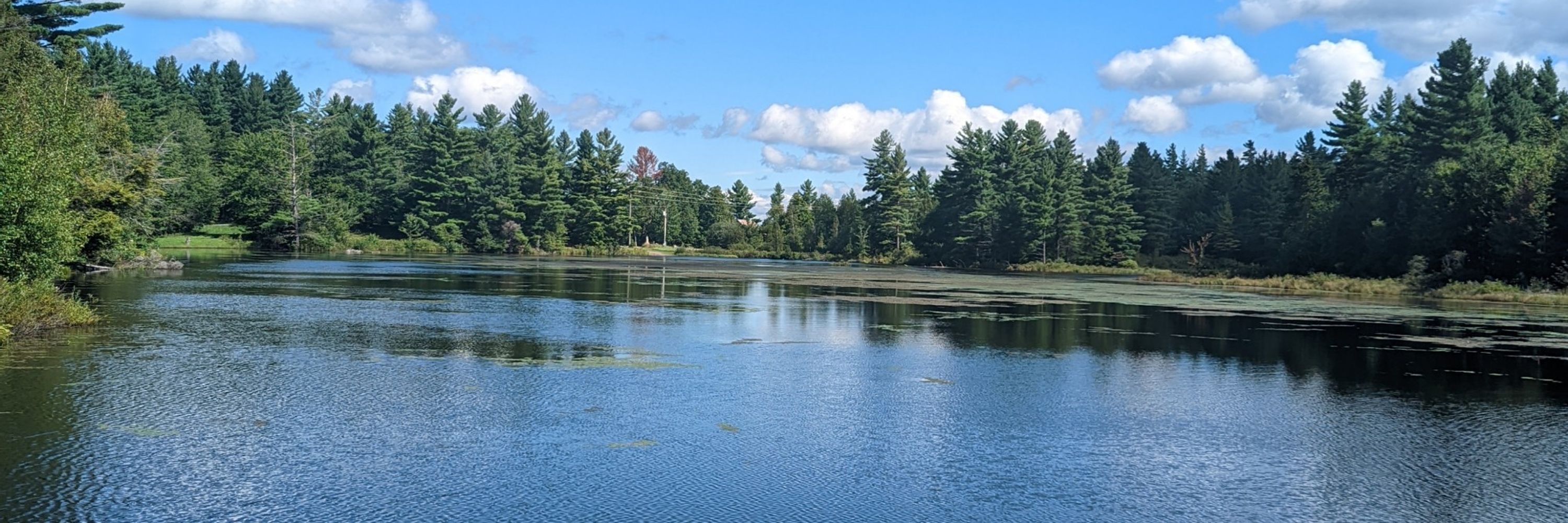 13 Dreams of a Cabin by the Lake 