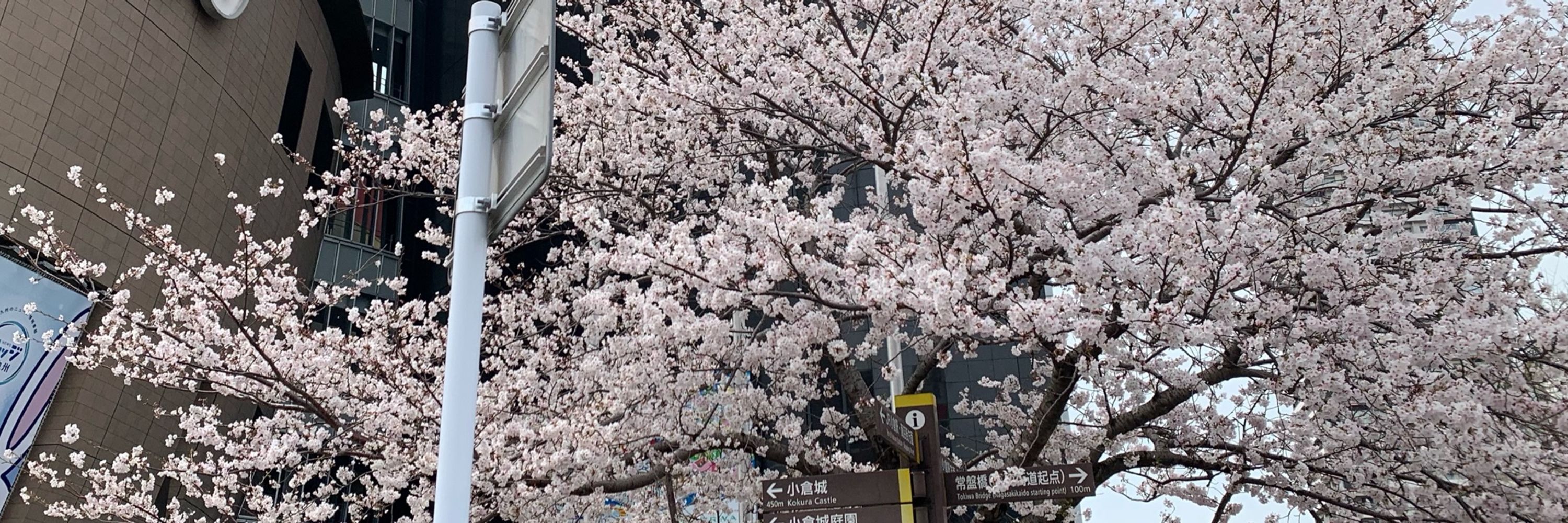 にかや