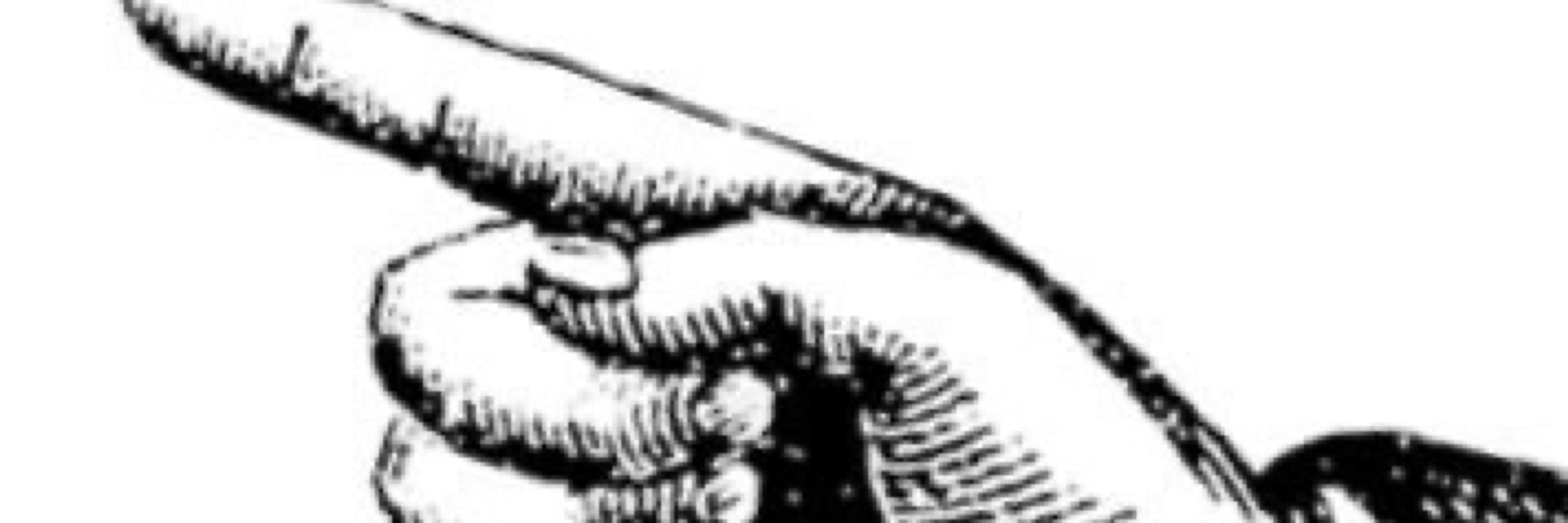 ↓Dayo