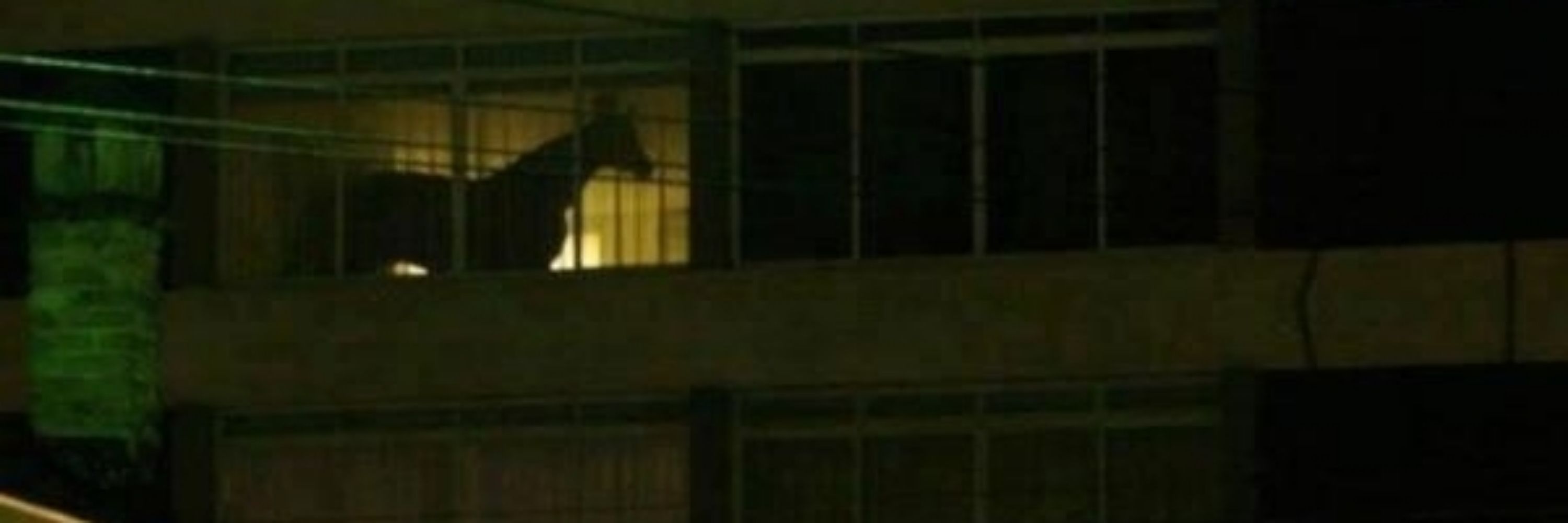 mighty çenk