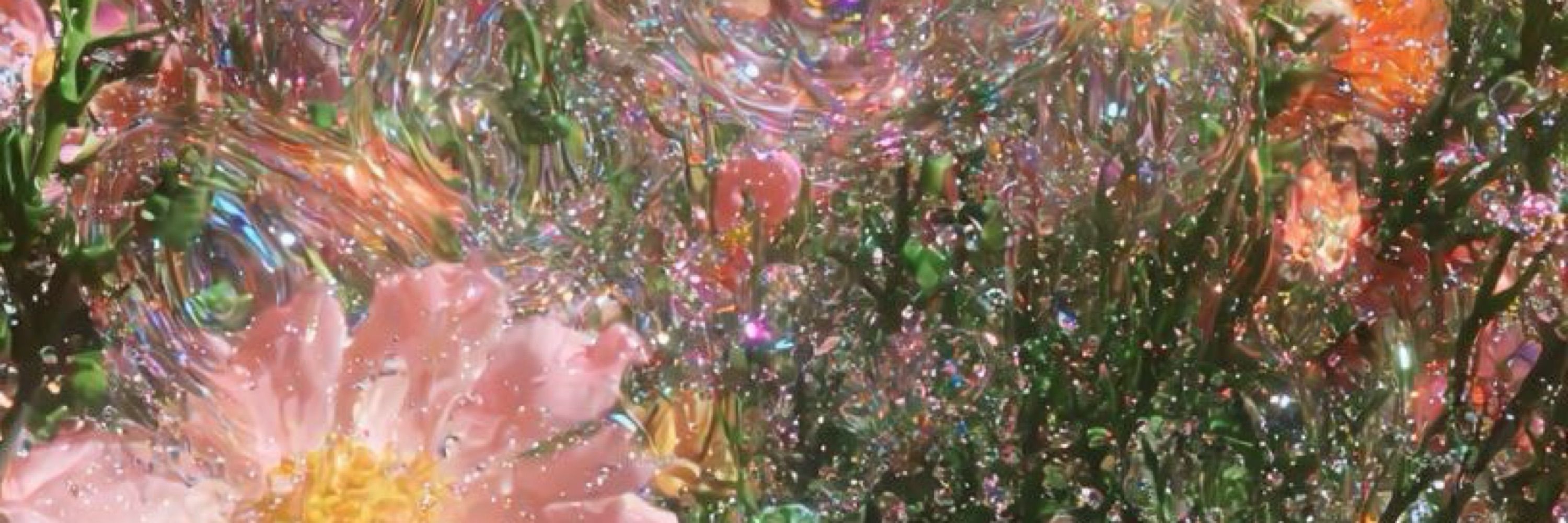 ❁ Spring Daughtr ❁