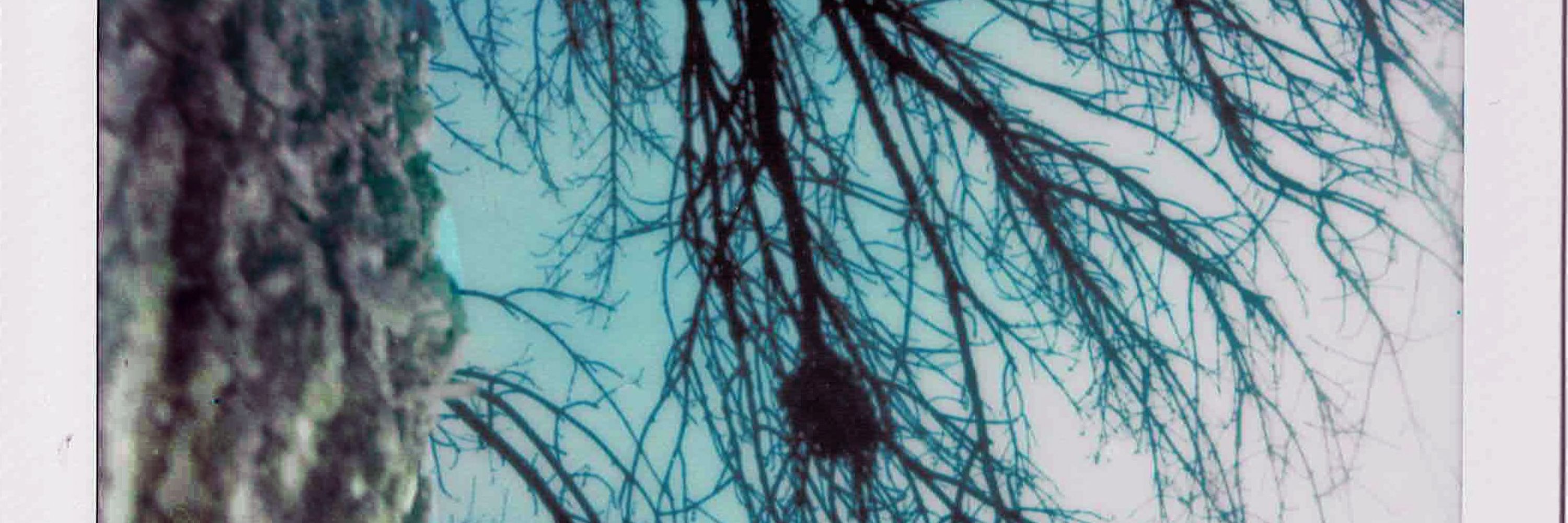 Libby Clarke | Art & Personal
