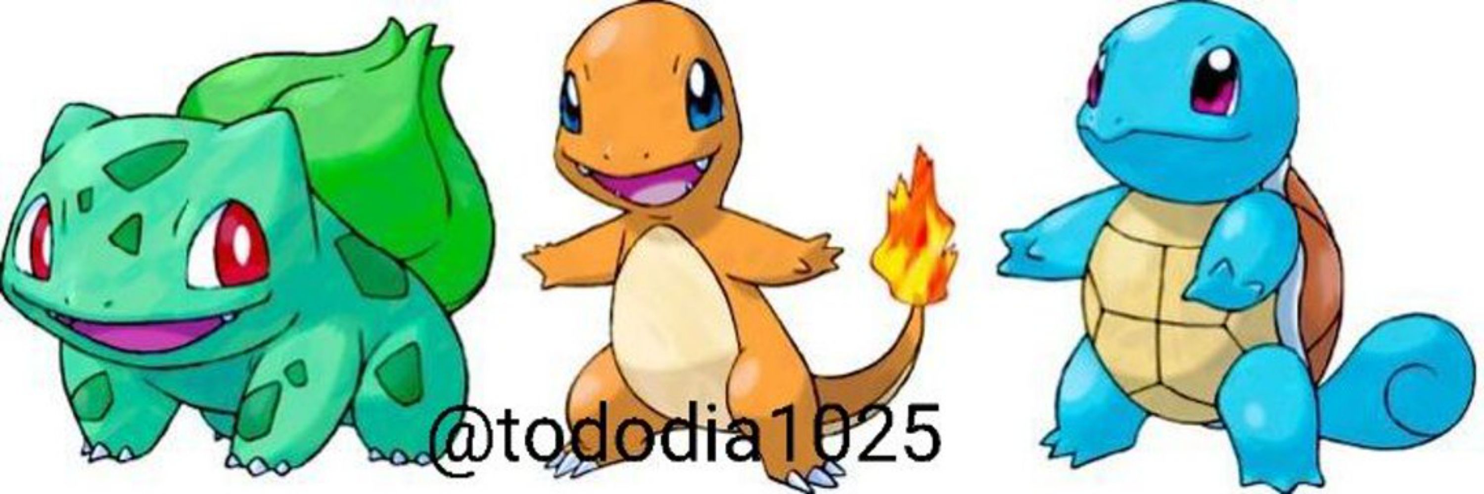 Todo Dia um Pokémon Diferente
