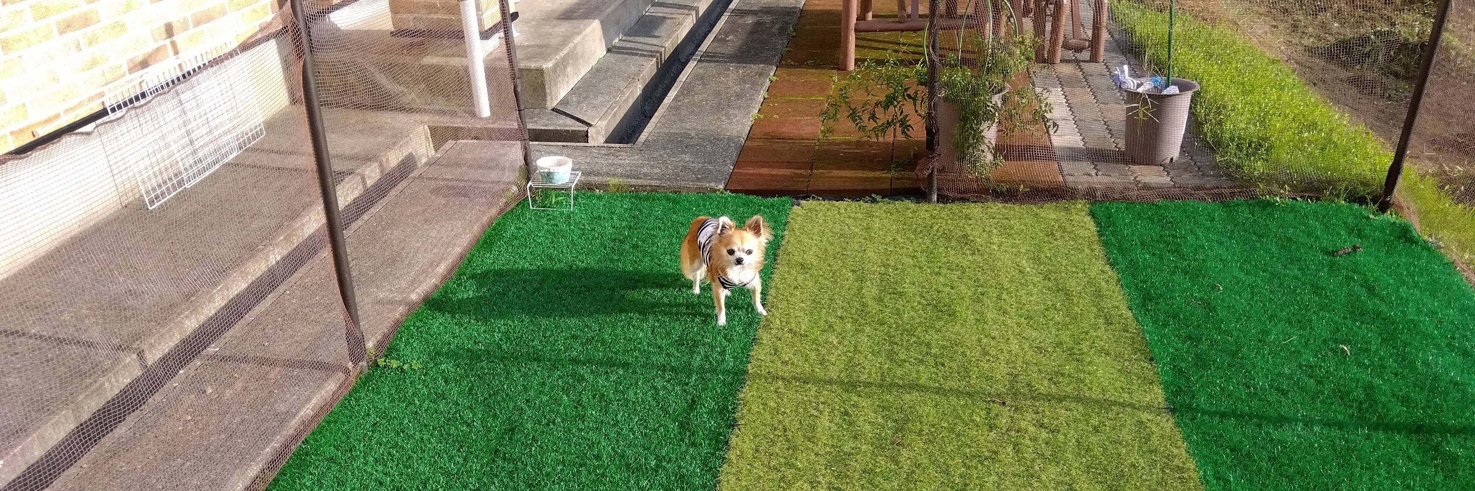 雪花IKE