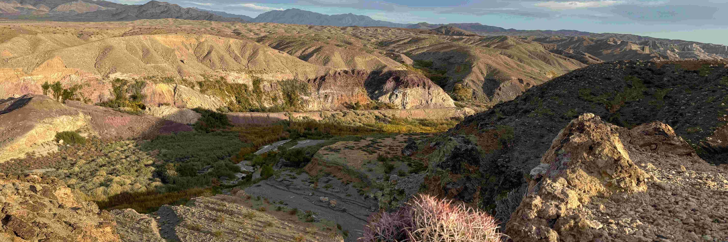 Amargosa Conservancy