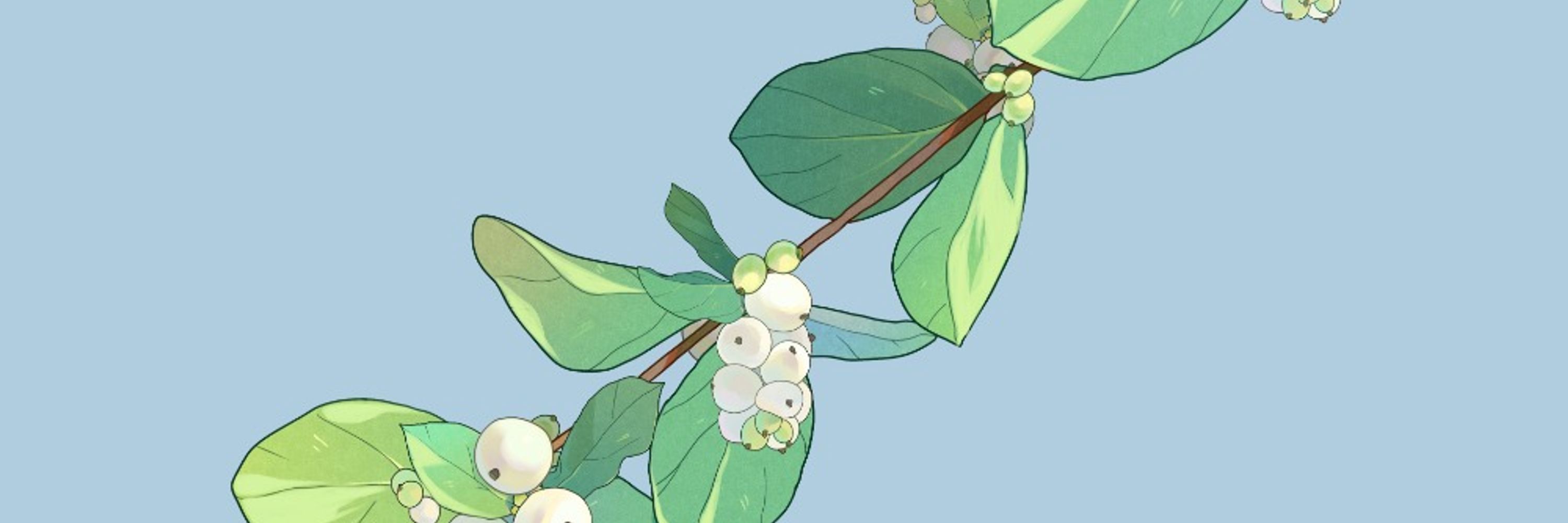 空木おむ