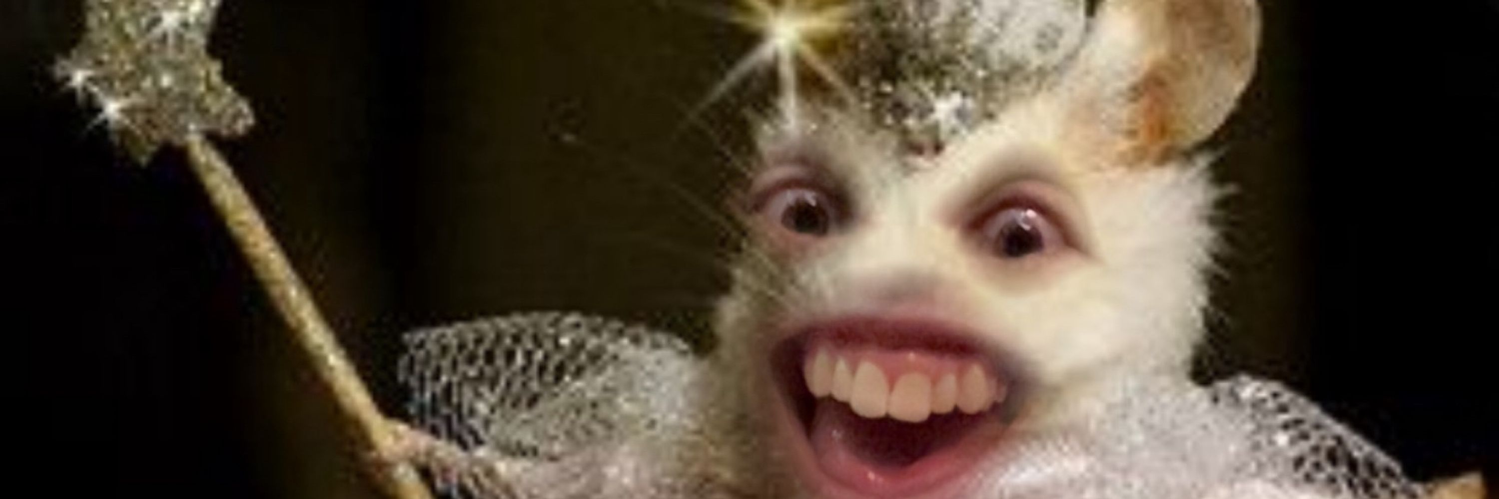 PotatoResin