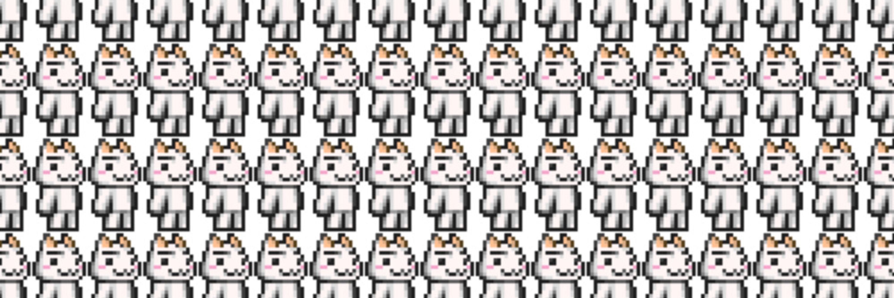 katt