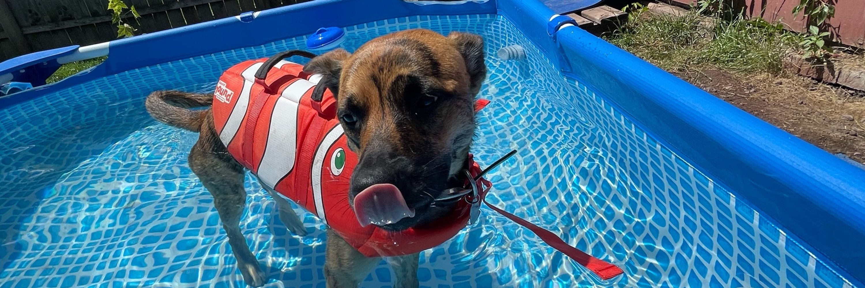 XenoRabbit 🎣🛶⛺️🦮🐾
