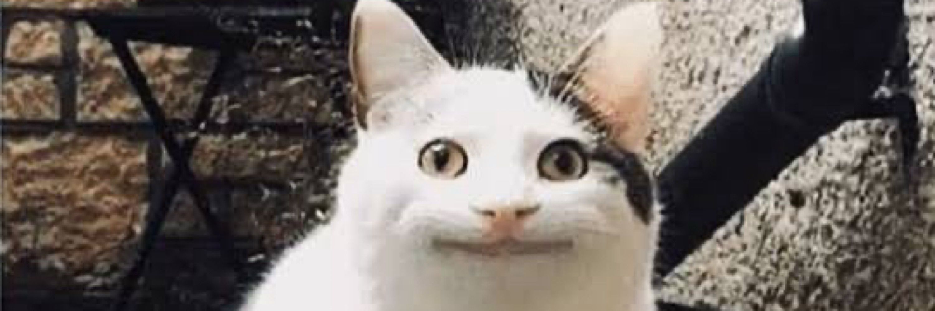 よな。
