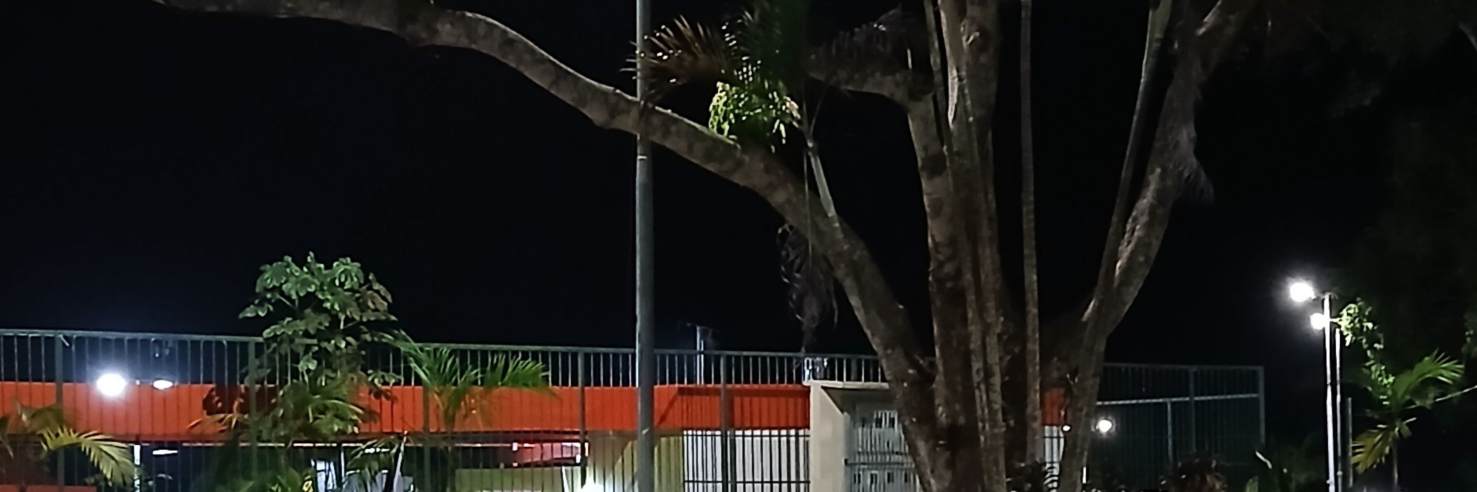 ᶠᵃᵇᵇᵃ