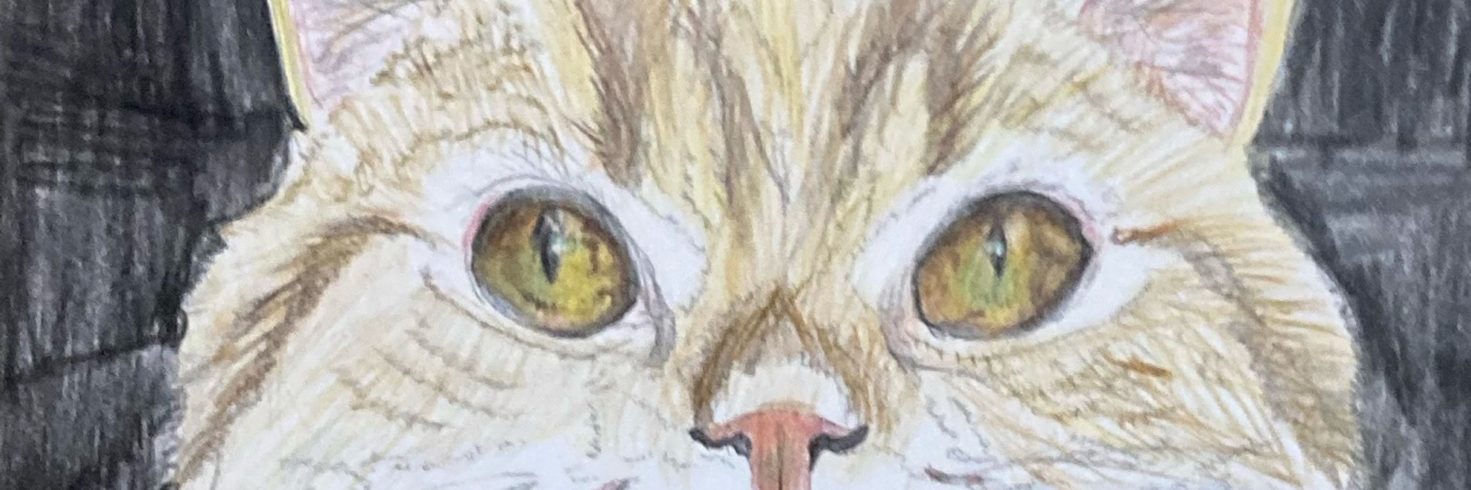 音色/双村琴音/ひよこちゃん