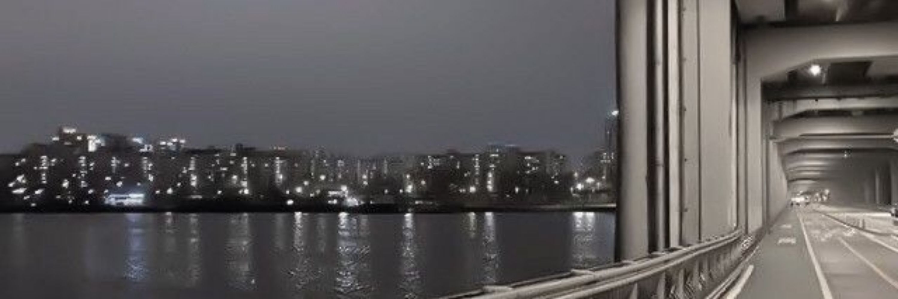 sasa