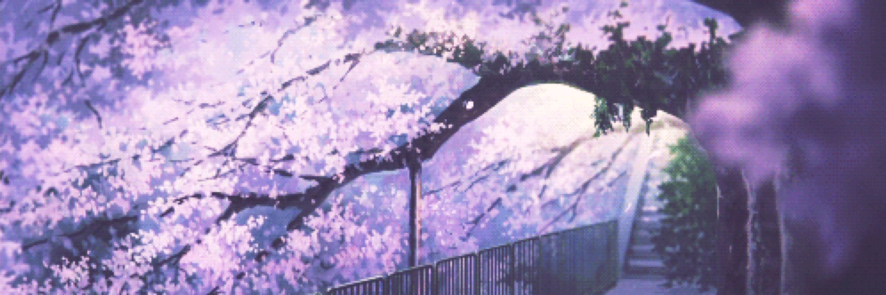 Wisteria Collective