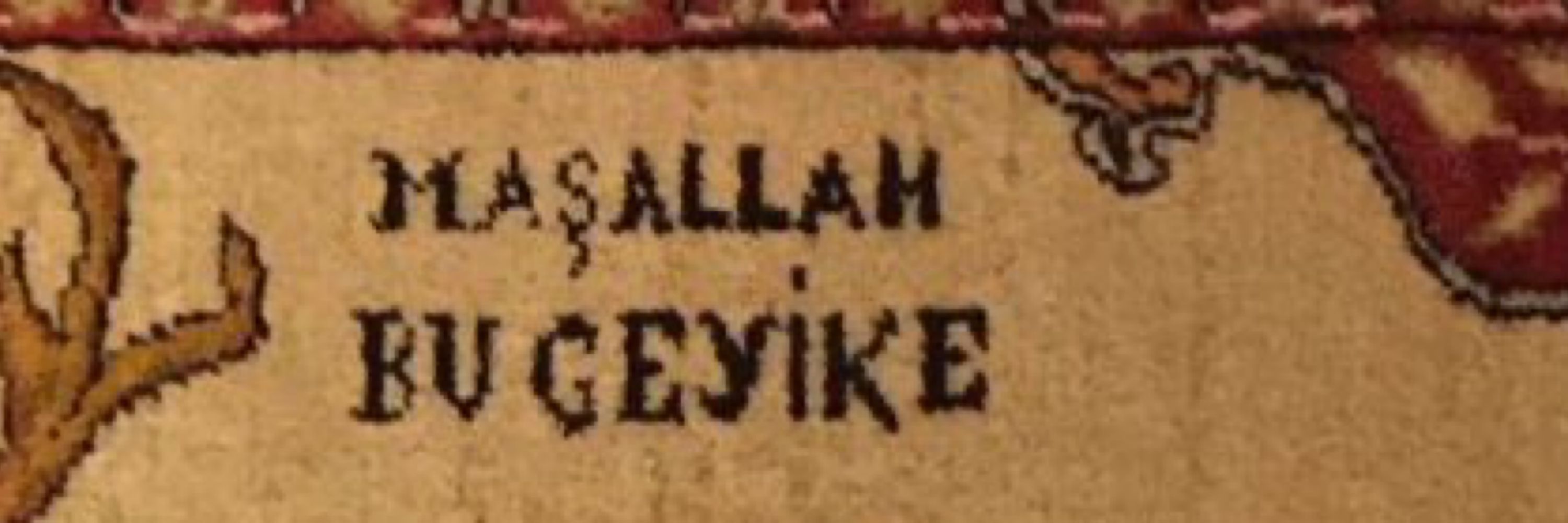 duygu