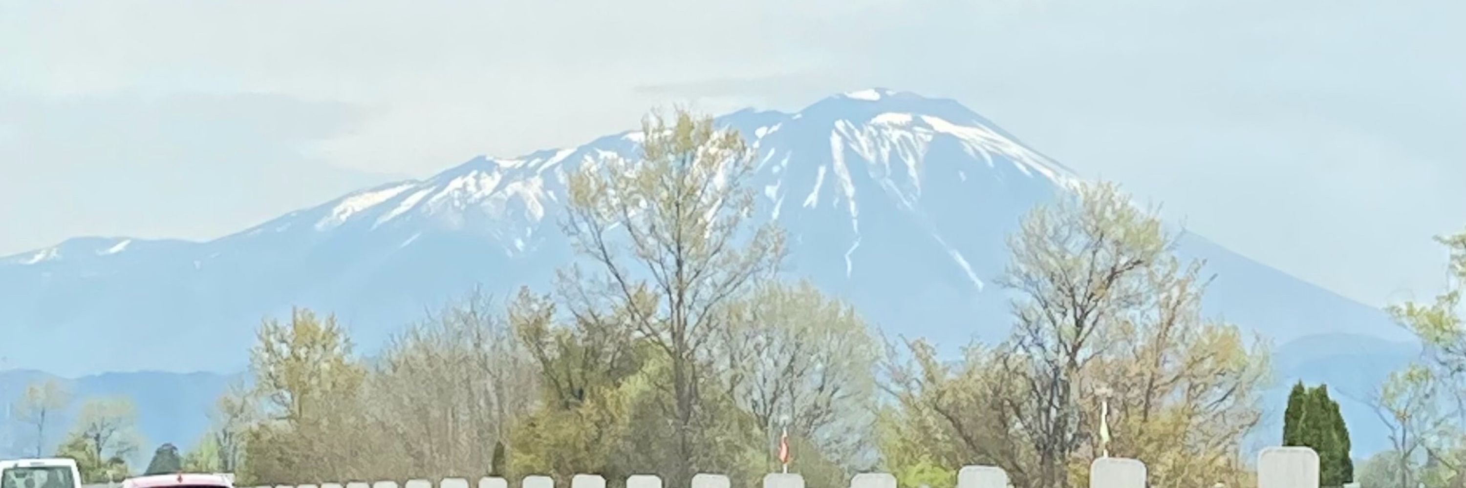 ぴに