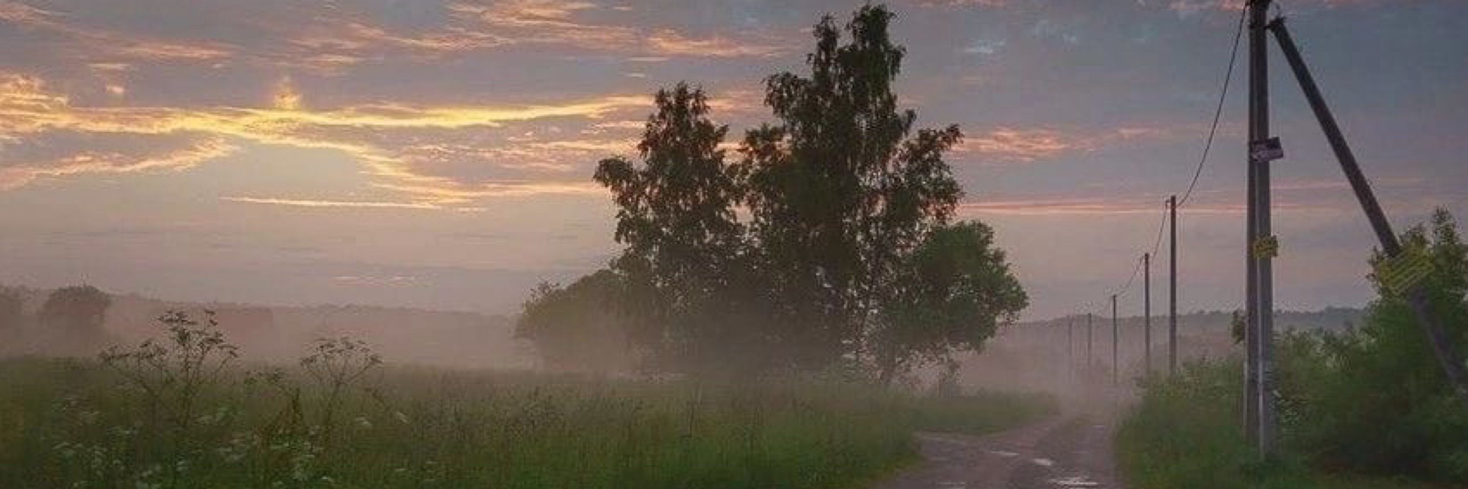 Эливс