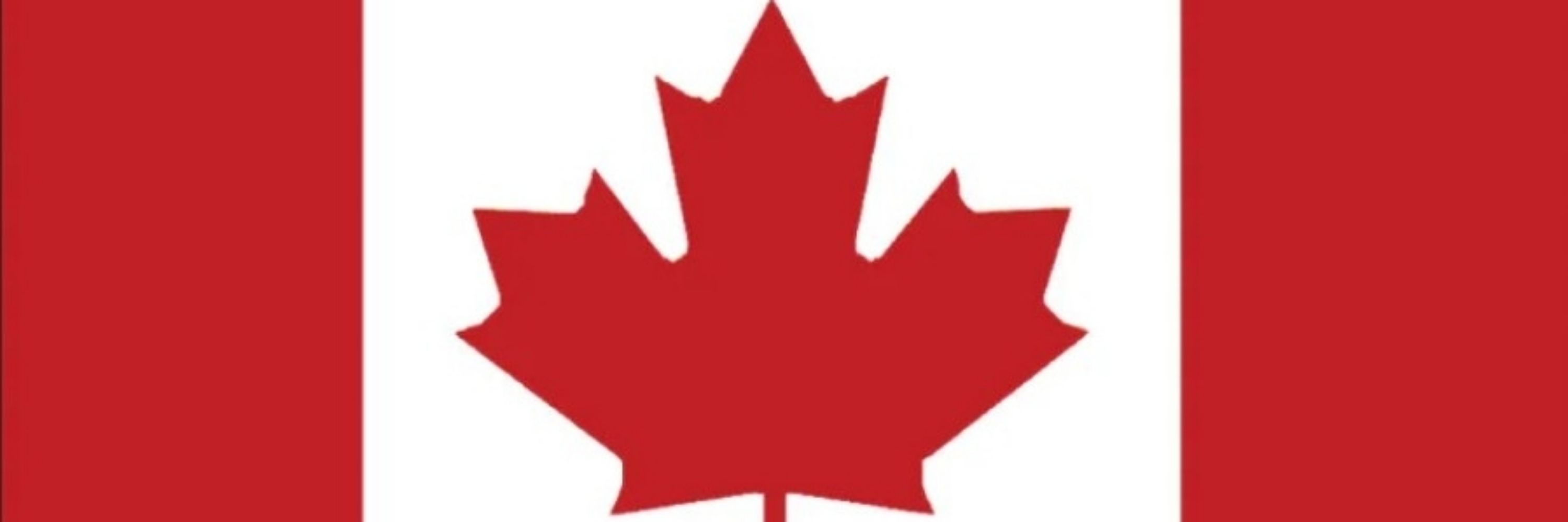 Kelly N 🇨🇦 📎
