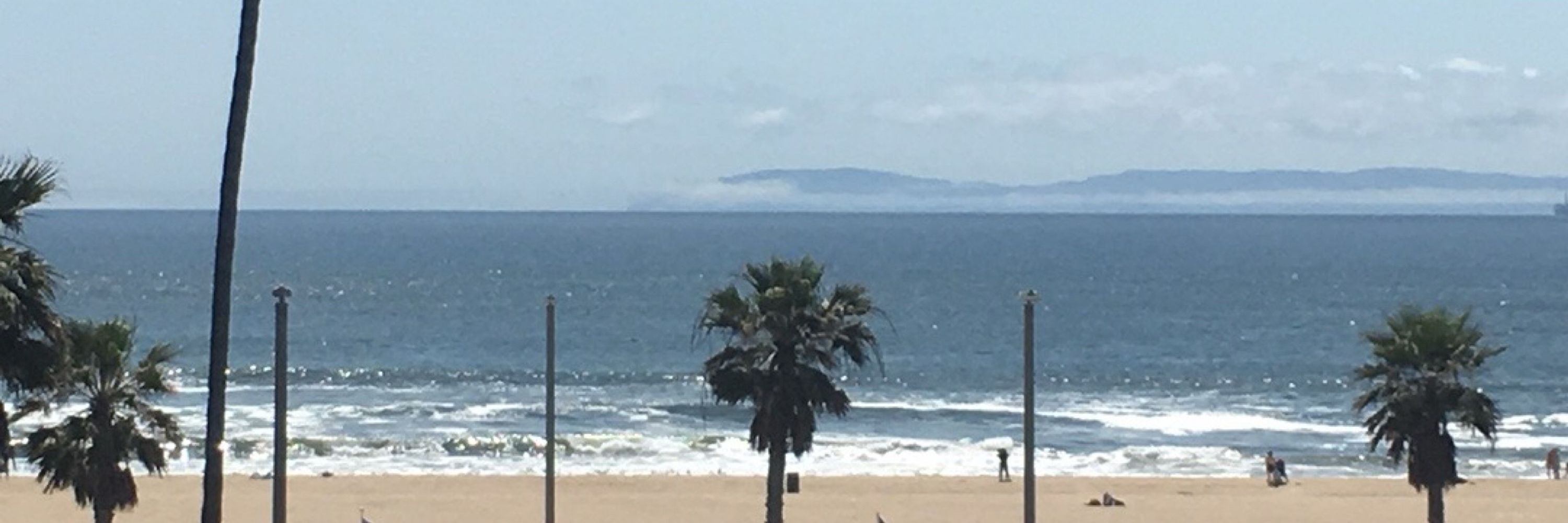 SoCal Tedybear