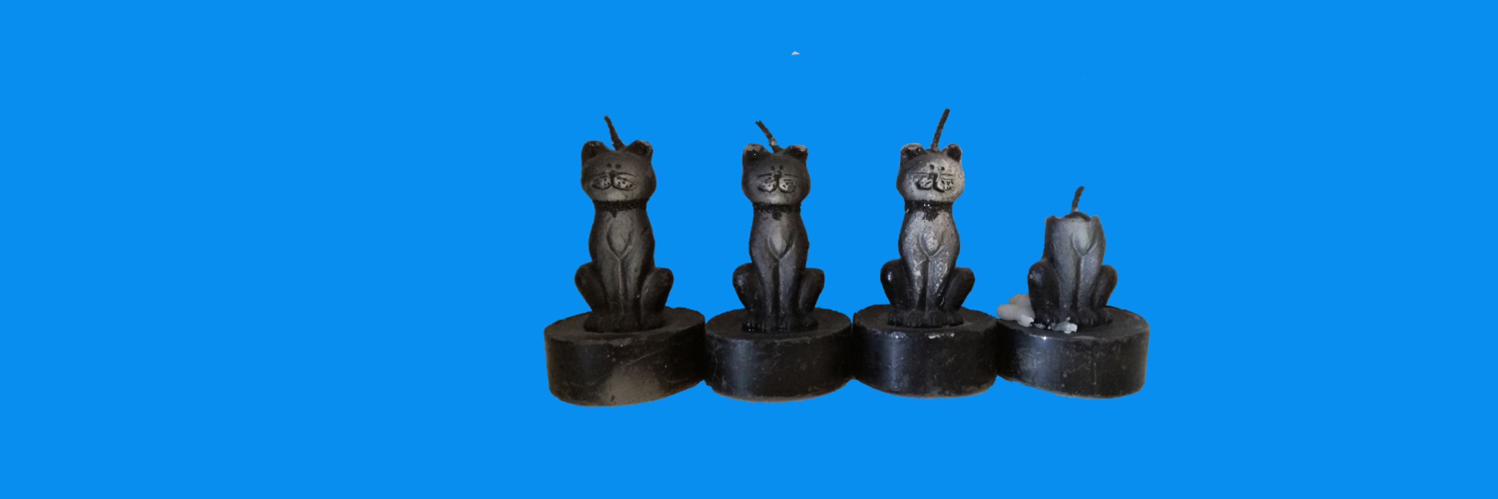 3.5Cats