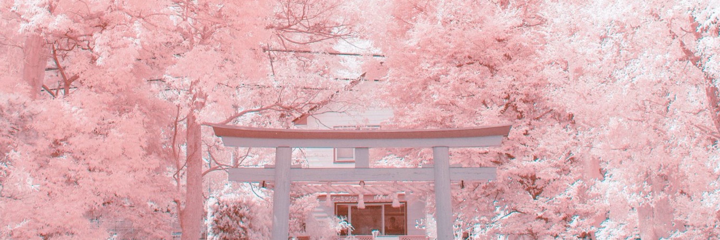 平桜