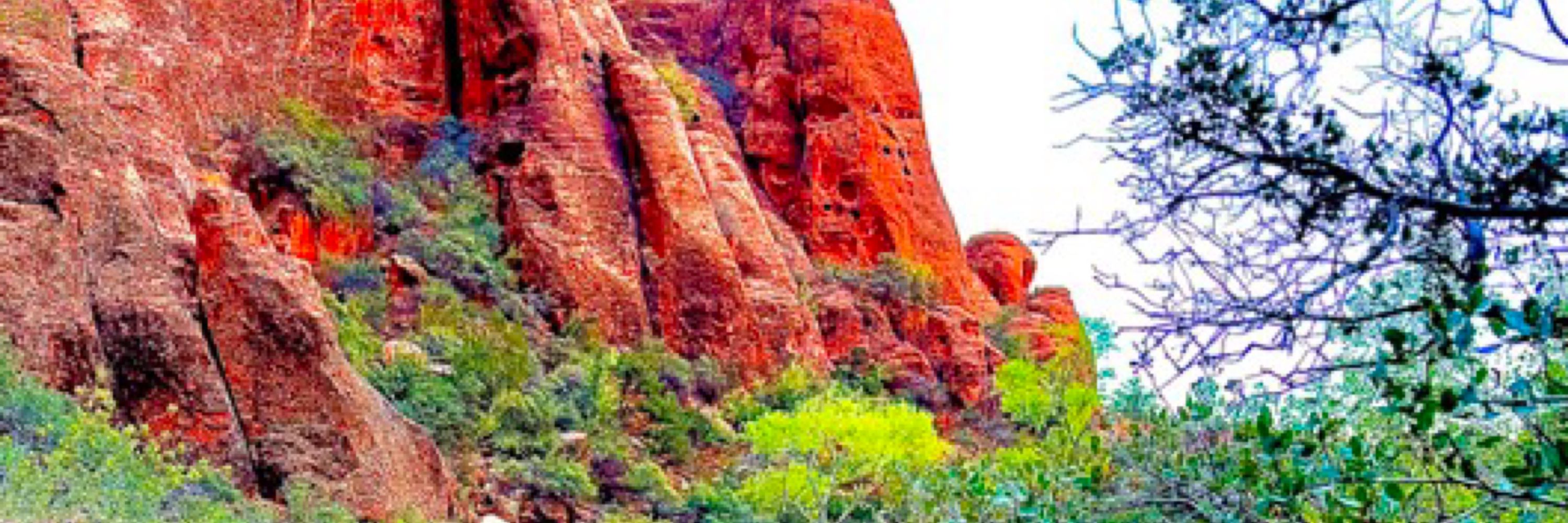 RedRockBatorDad