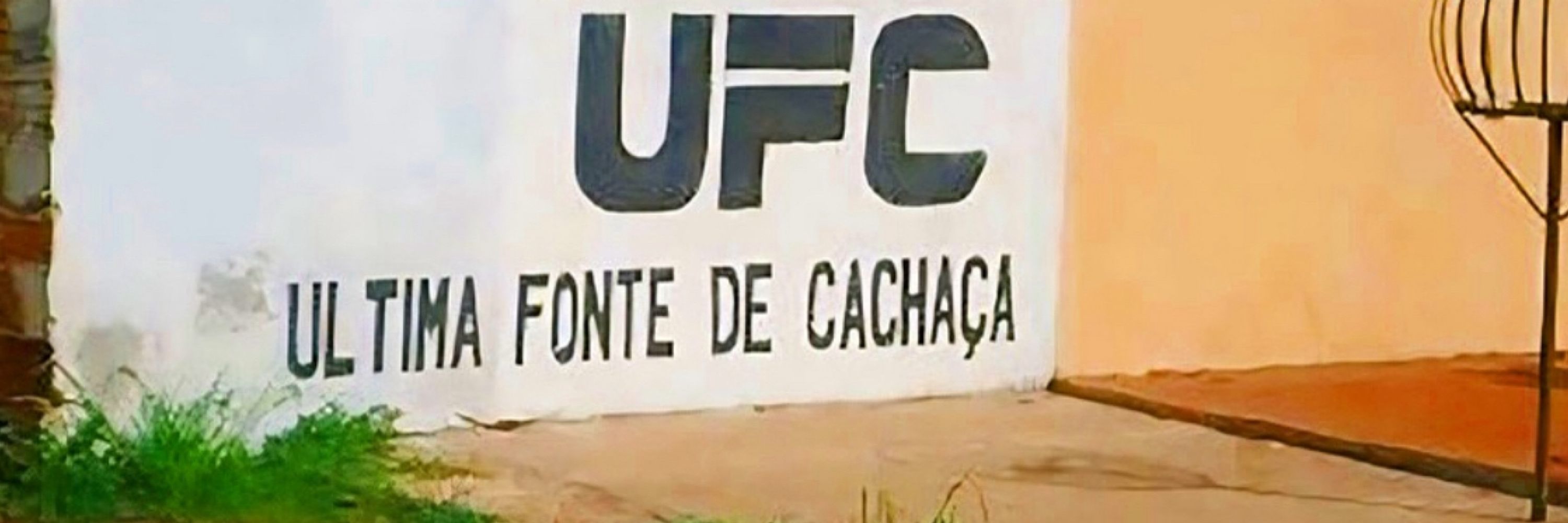TAVARAO