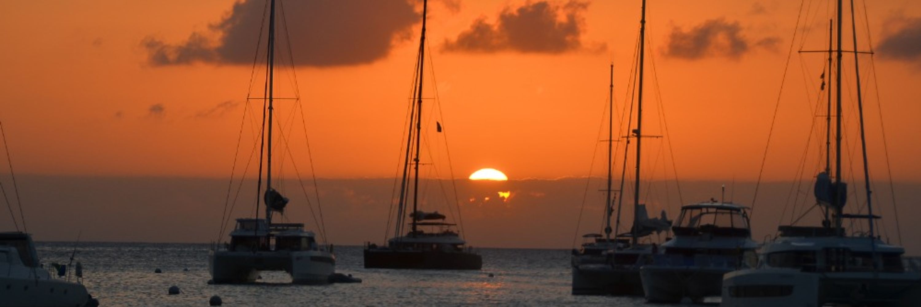 Anegada Eric