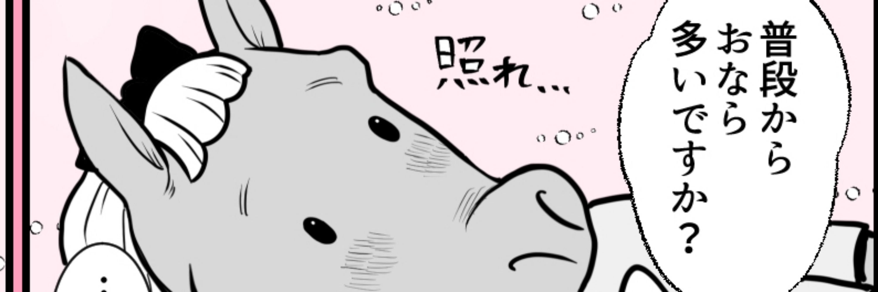 ギャンブルおばさん