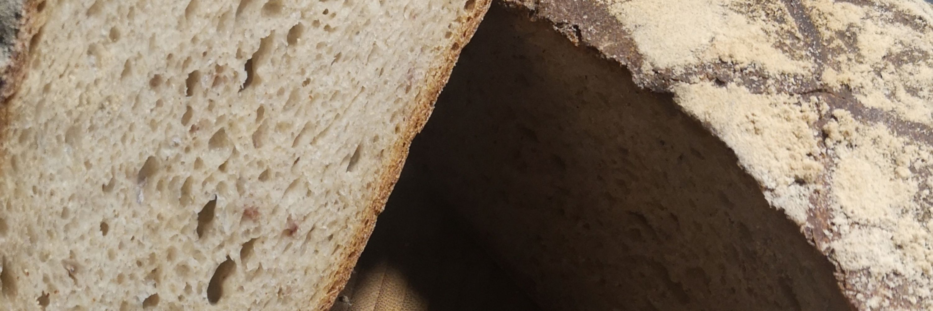 Brot