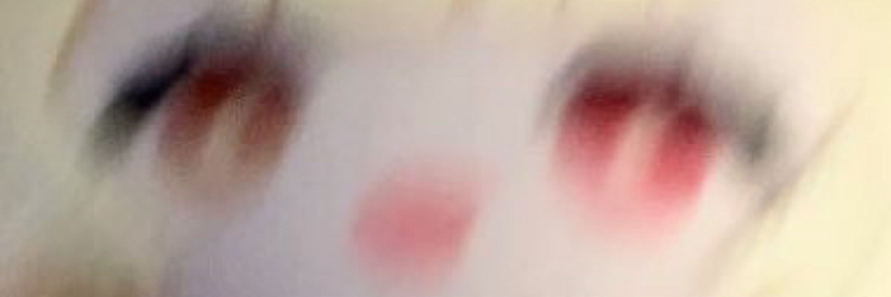 んごりら