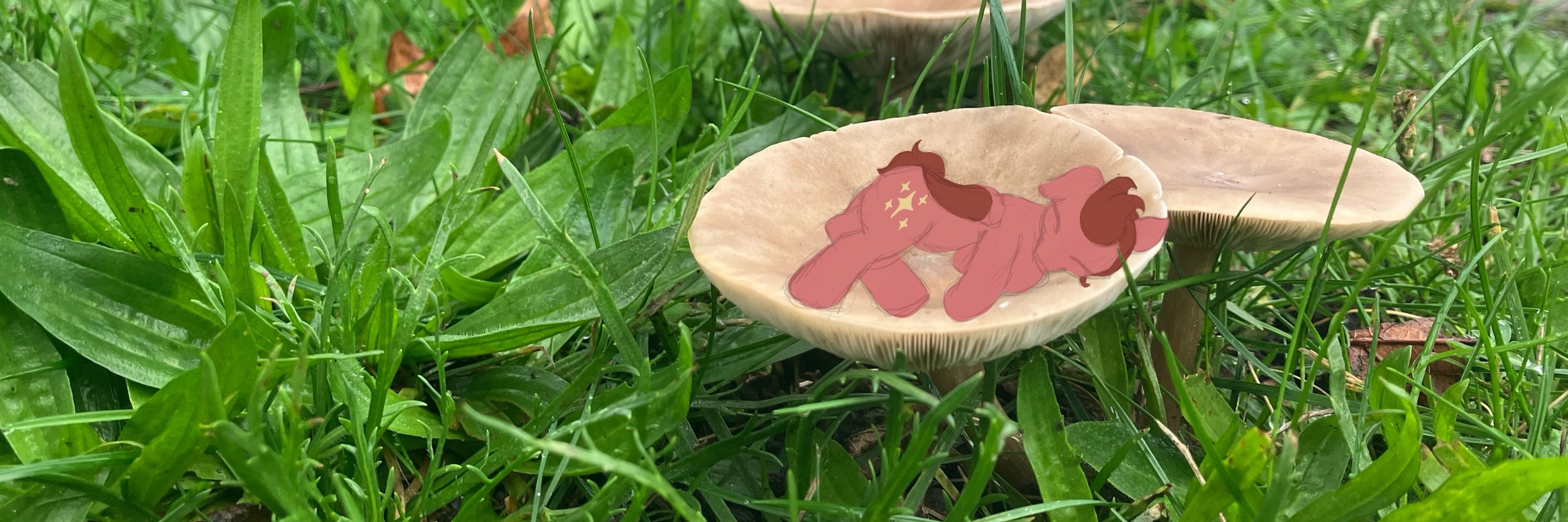 eve