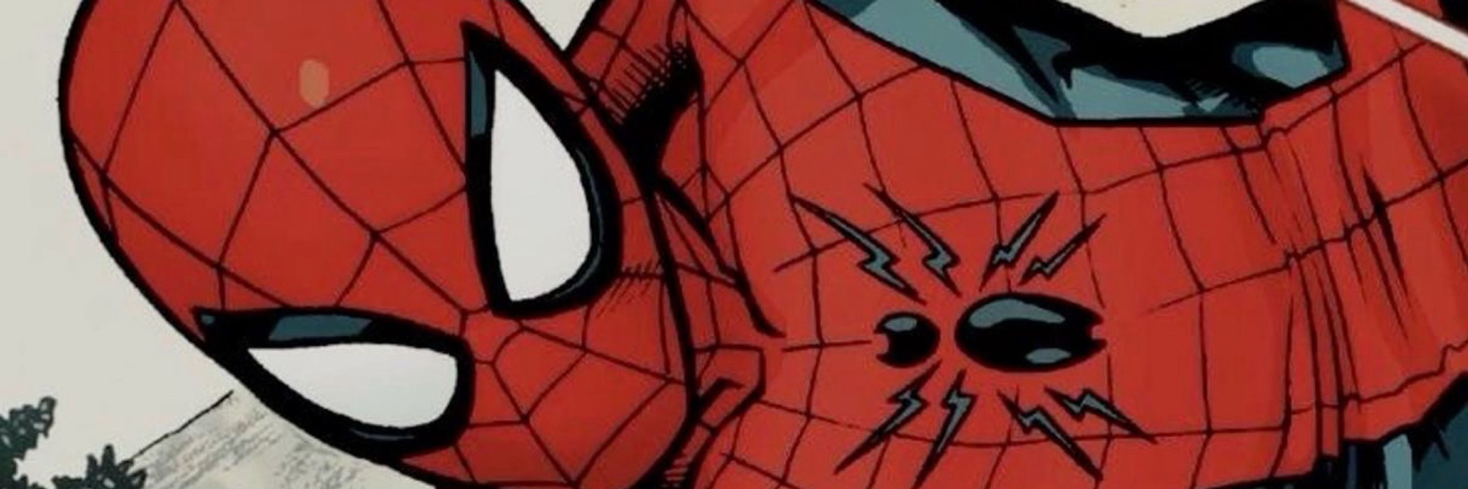 Spider-ash
