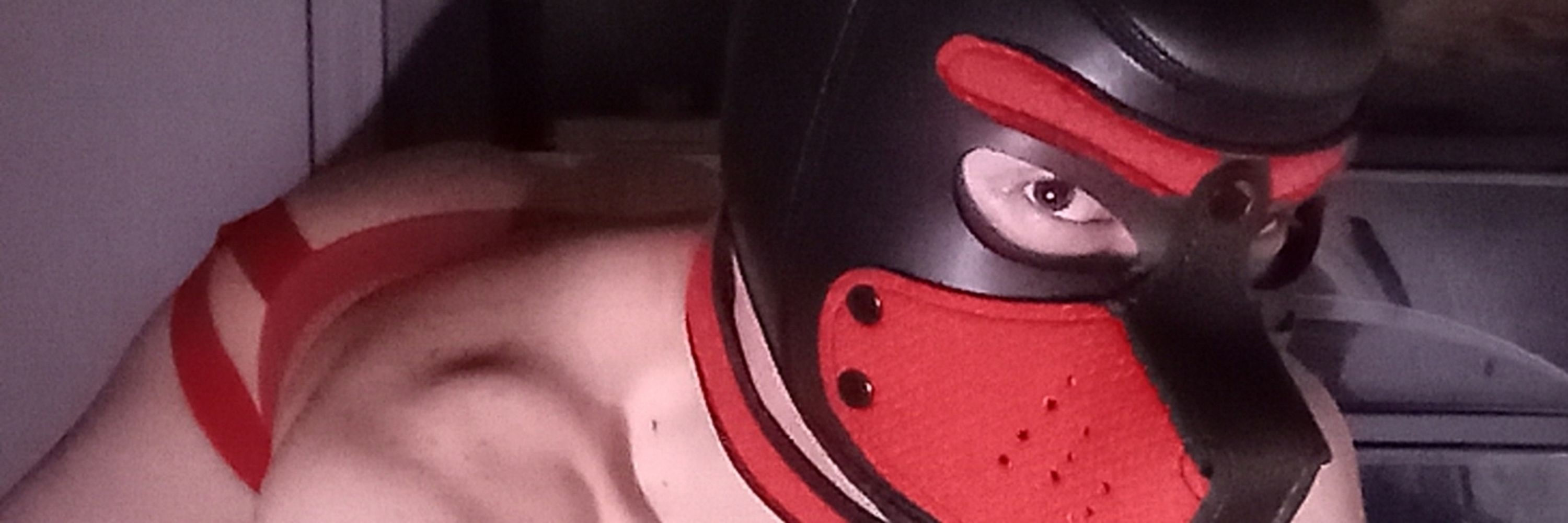 PUP AXEL PUMP