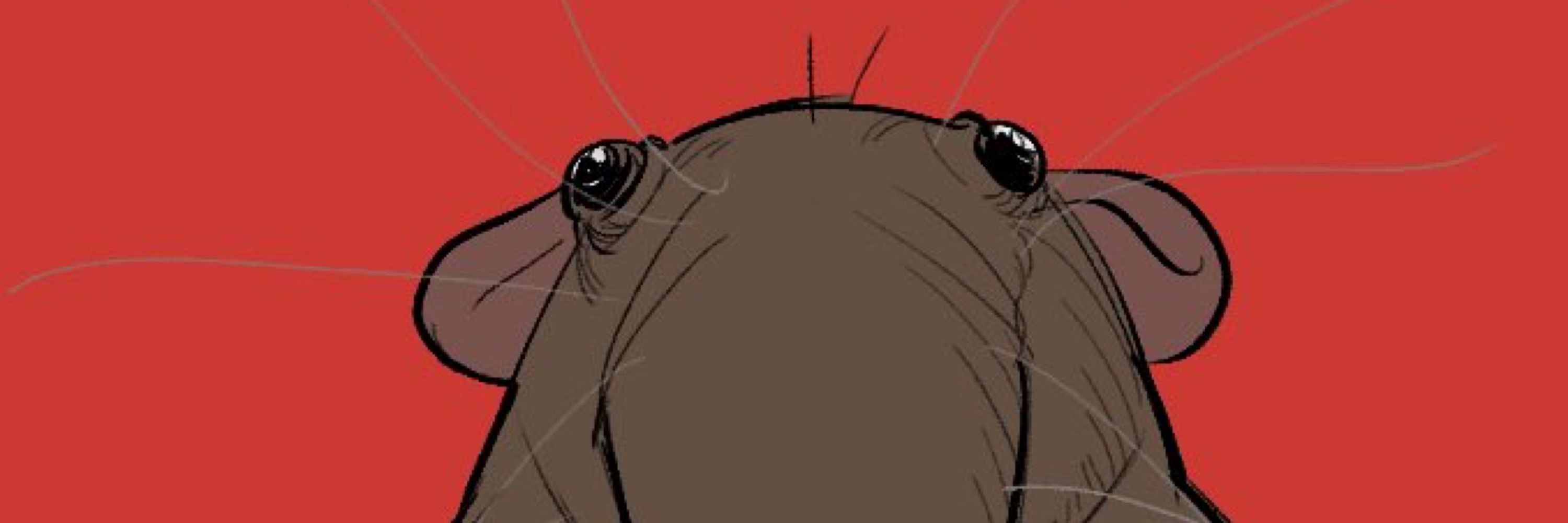 쥐