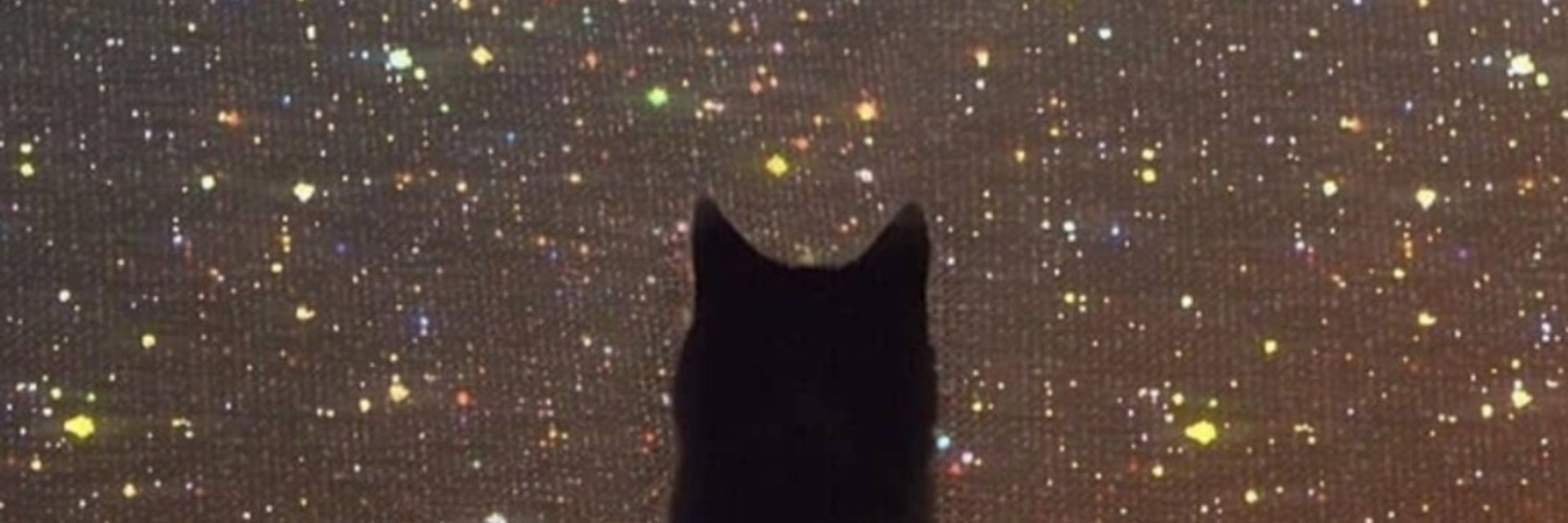 MynameisCats