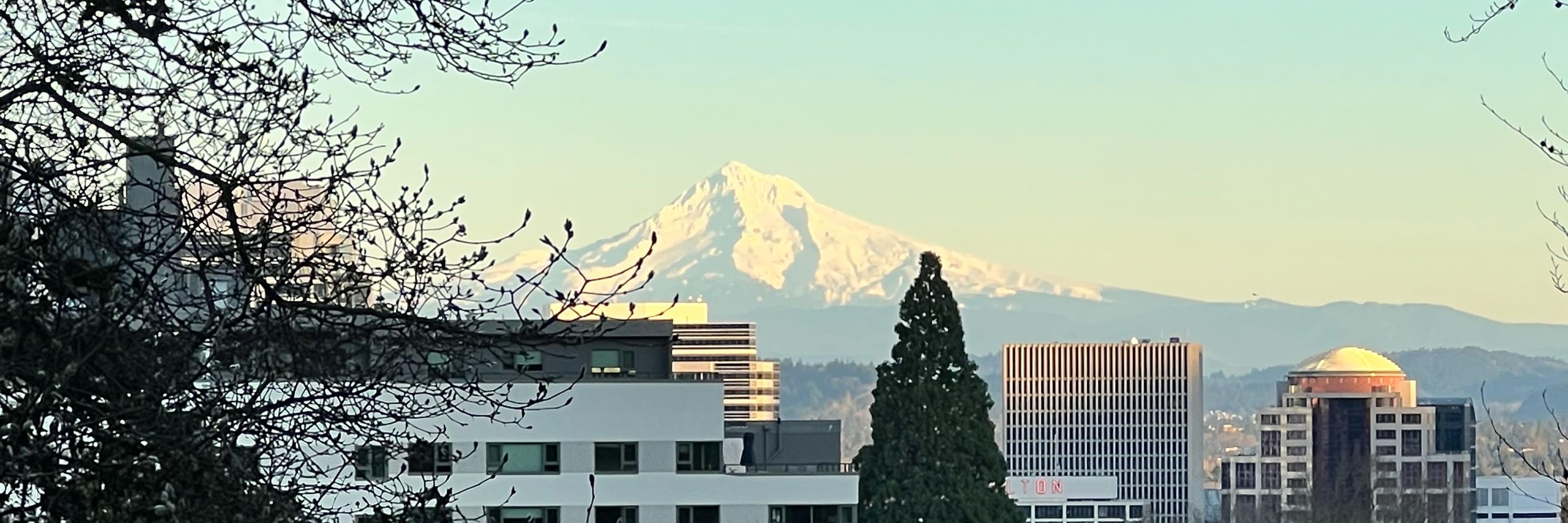 Pdxglory