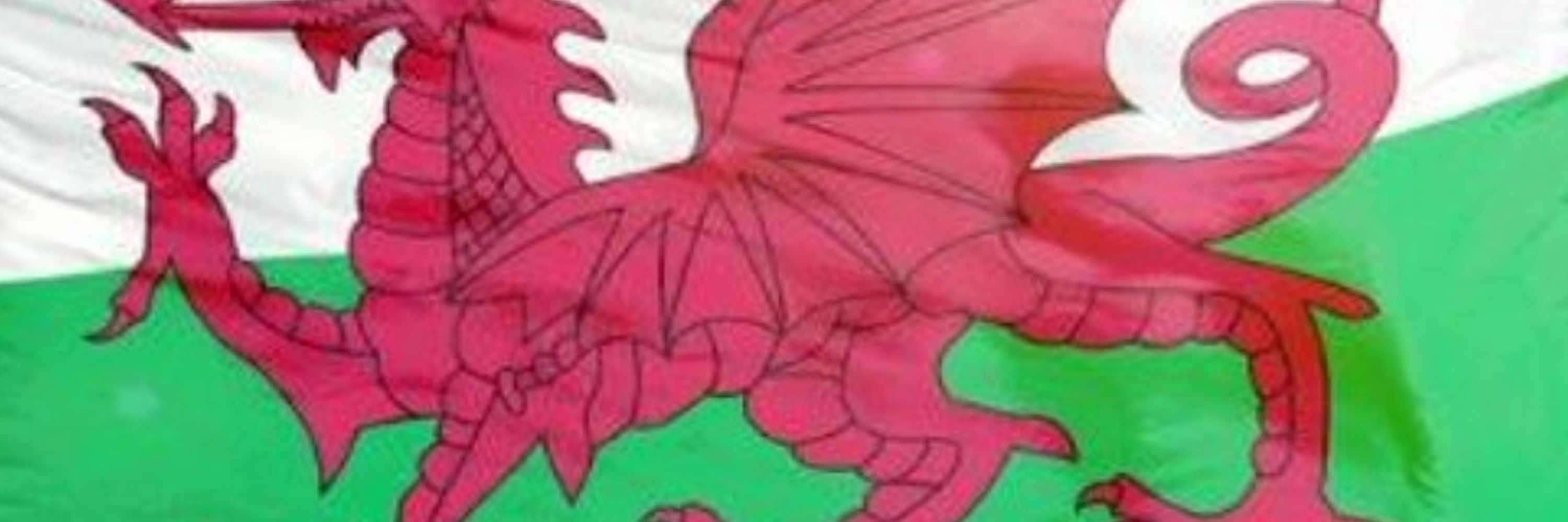 tokenwelshman
