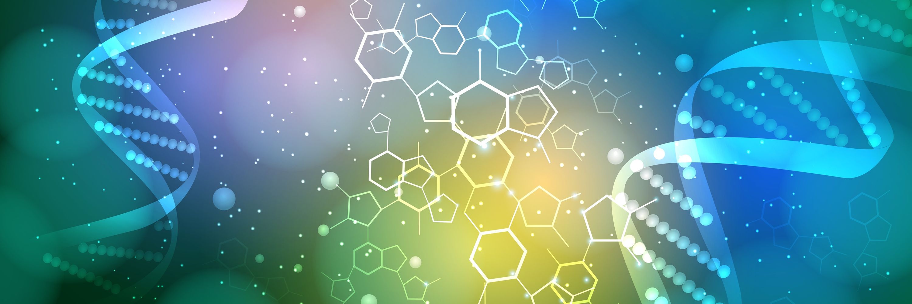 American Federation for Aging Research (AFAR)