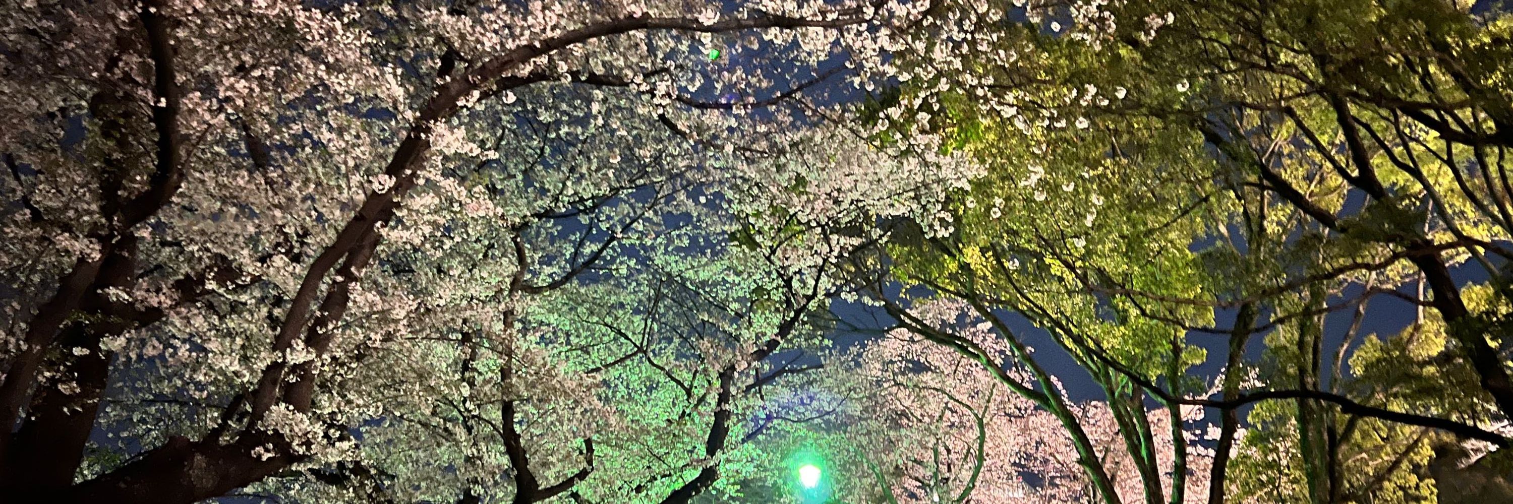 Keisuke Katsuki