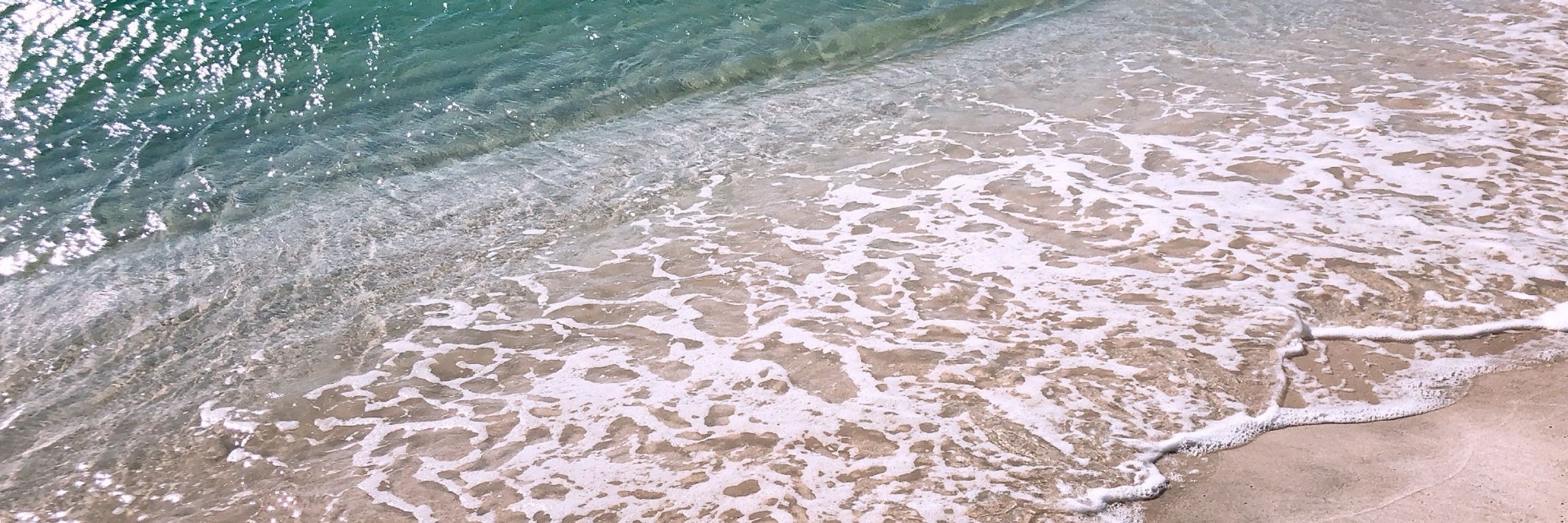 𝘀𝗮𝗸𝗮𝗻𝗮𓆝