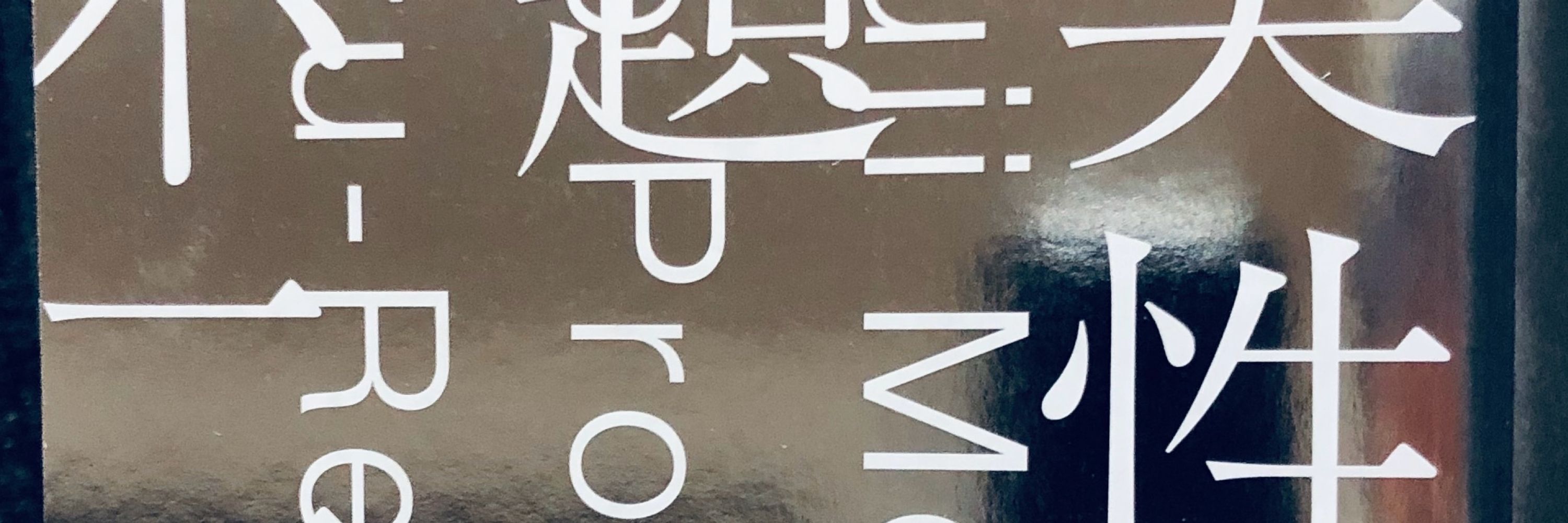 入不二基義