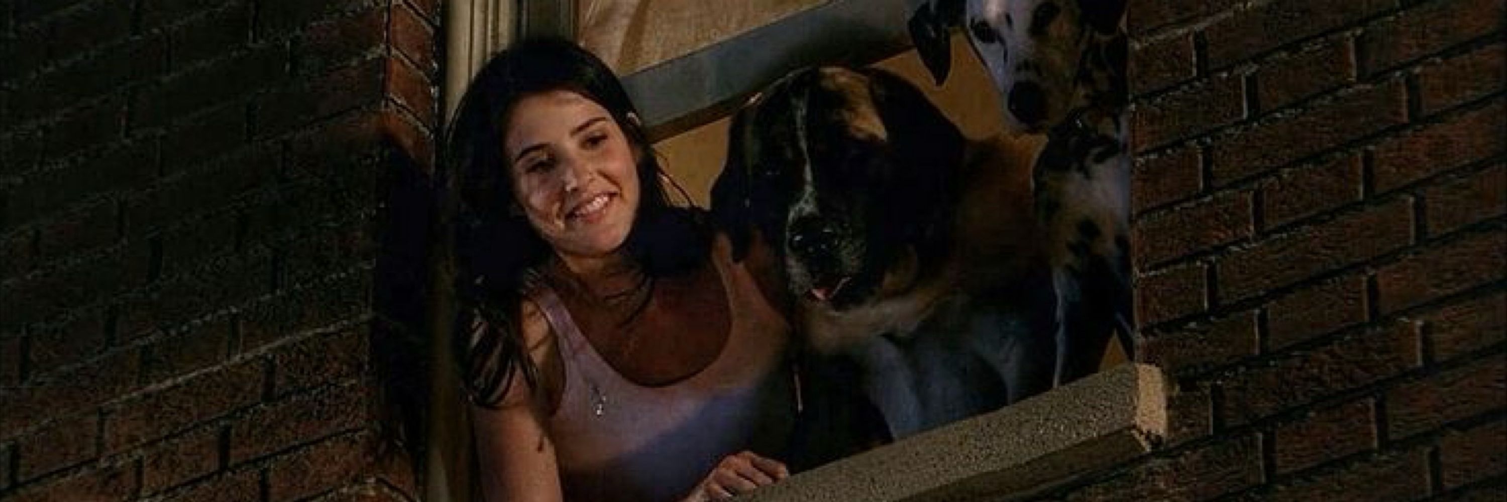 robin scherbatsky