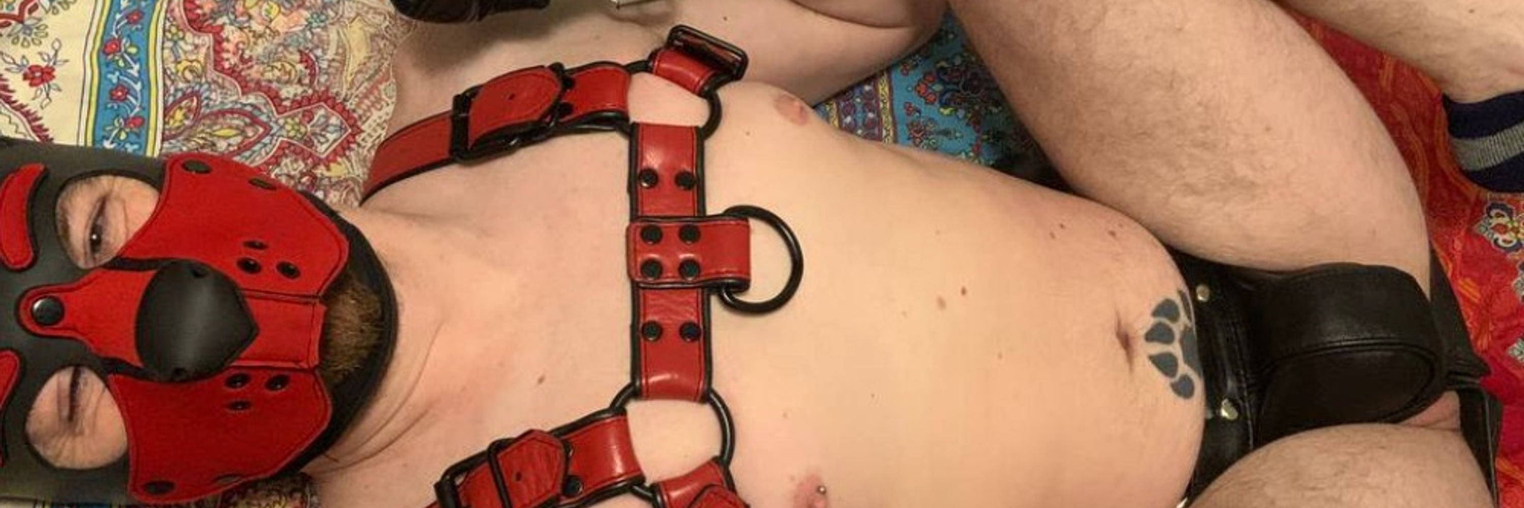 BrandonBoardXXX
