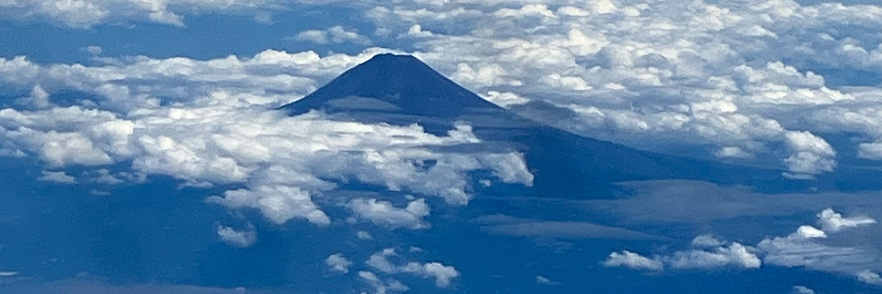 あゆ
