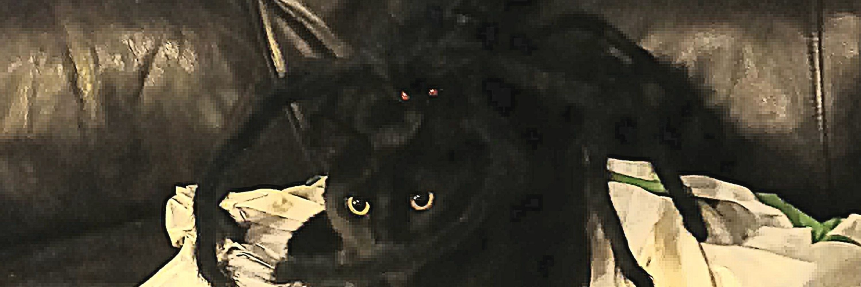 Tabi