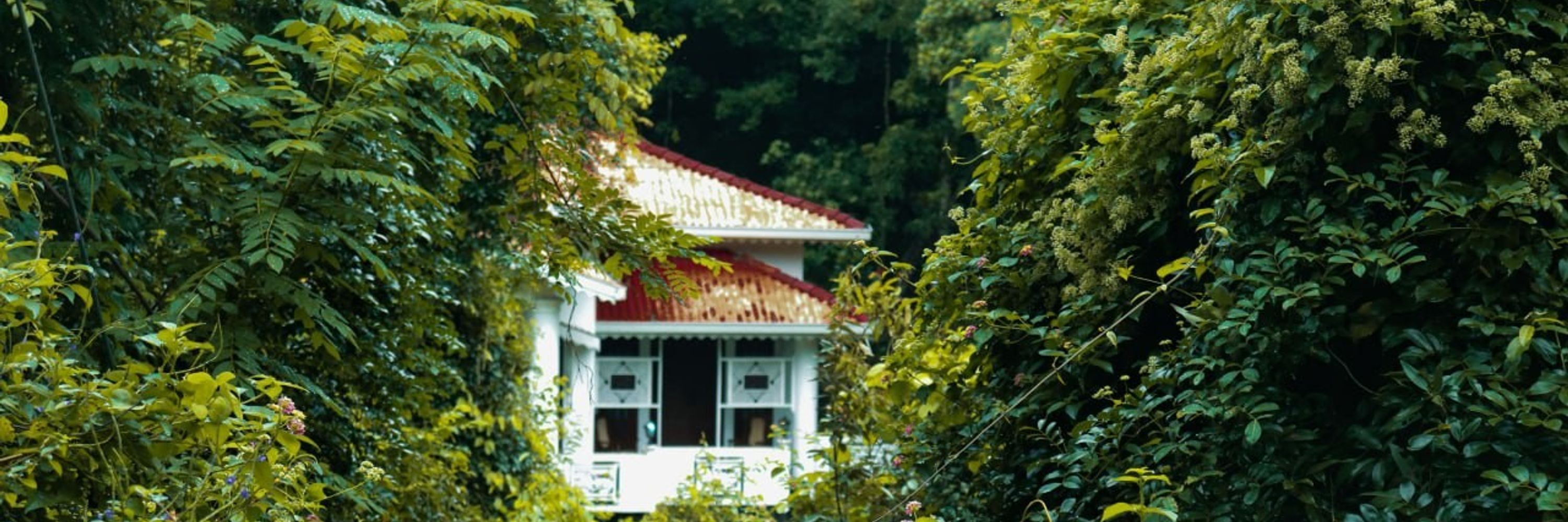 Kavindu Harshana