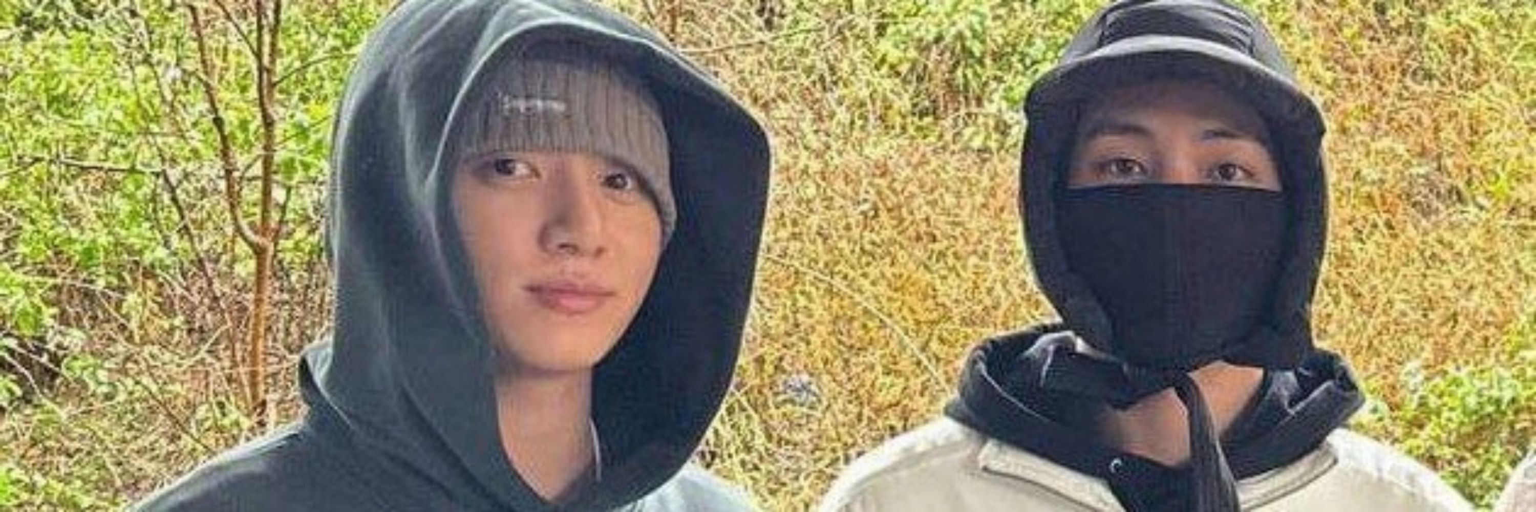 🐻🐰