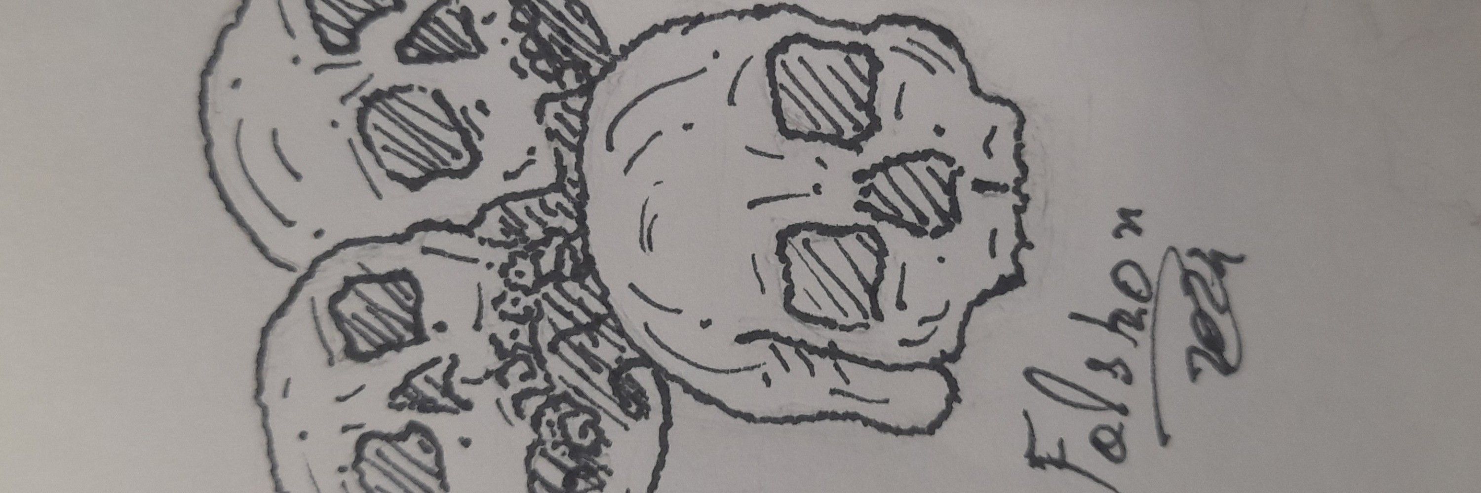 Falskon