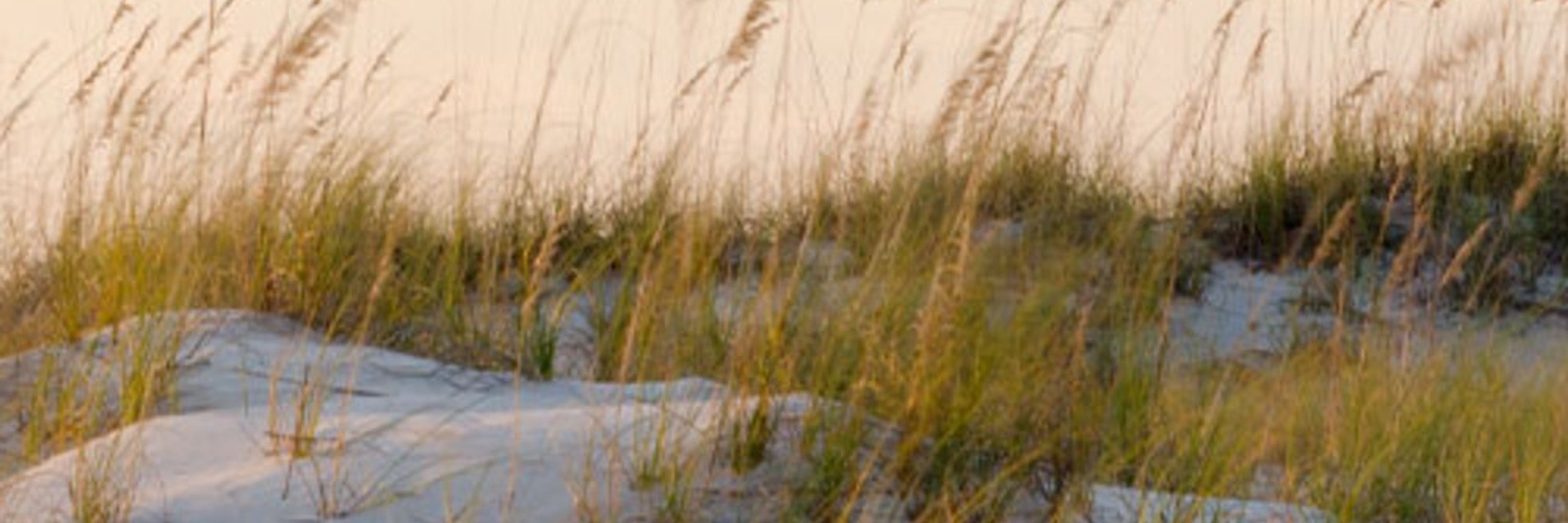 Southern Environmental Law Center